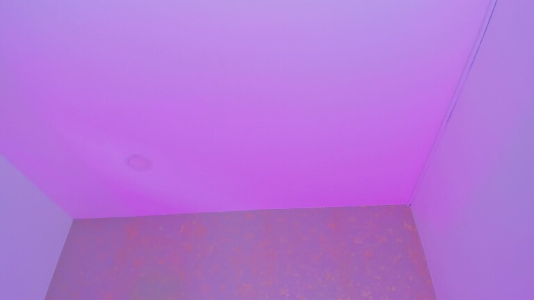 CarolGomeez's Streamate show and profile